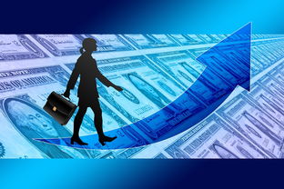 乐鱼app-女子赛事门票收入创新高，商业赞助进一步跟进，女子锦标赛