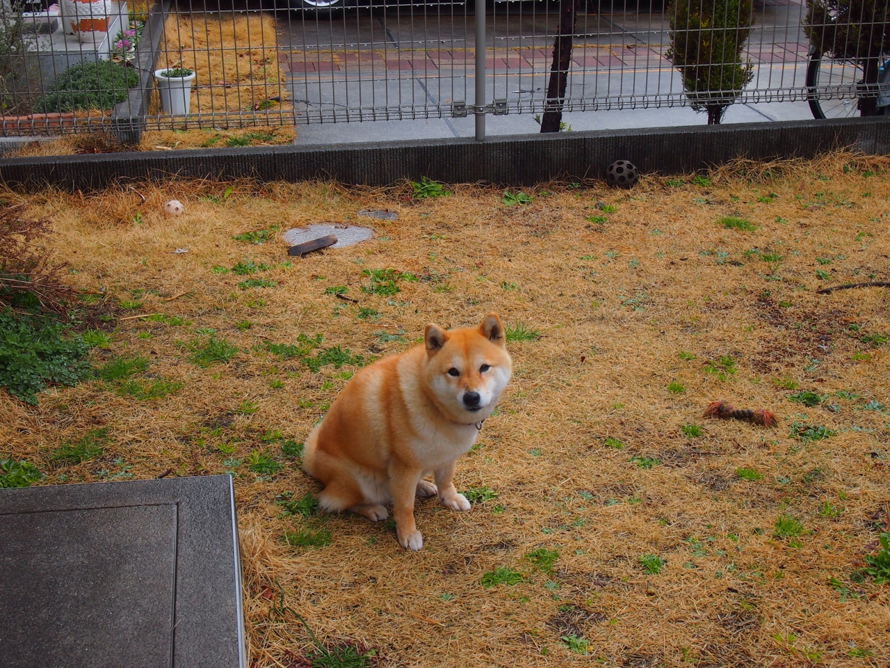职业俱乐部推动退役球员导师计划协助青年成长，职业选手退役当教练