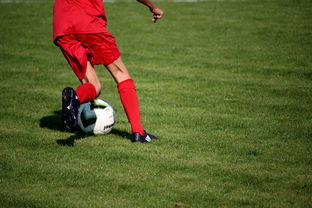 APP下载 LY Sports-足球场馆数字化管理平台正式上线，提升运营效率，足球场管理系统app