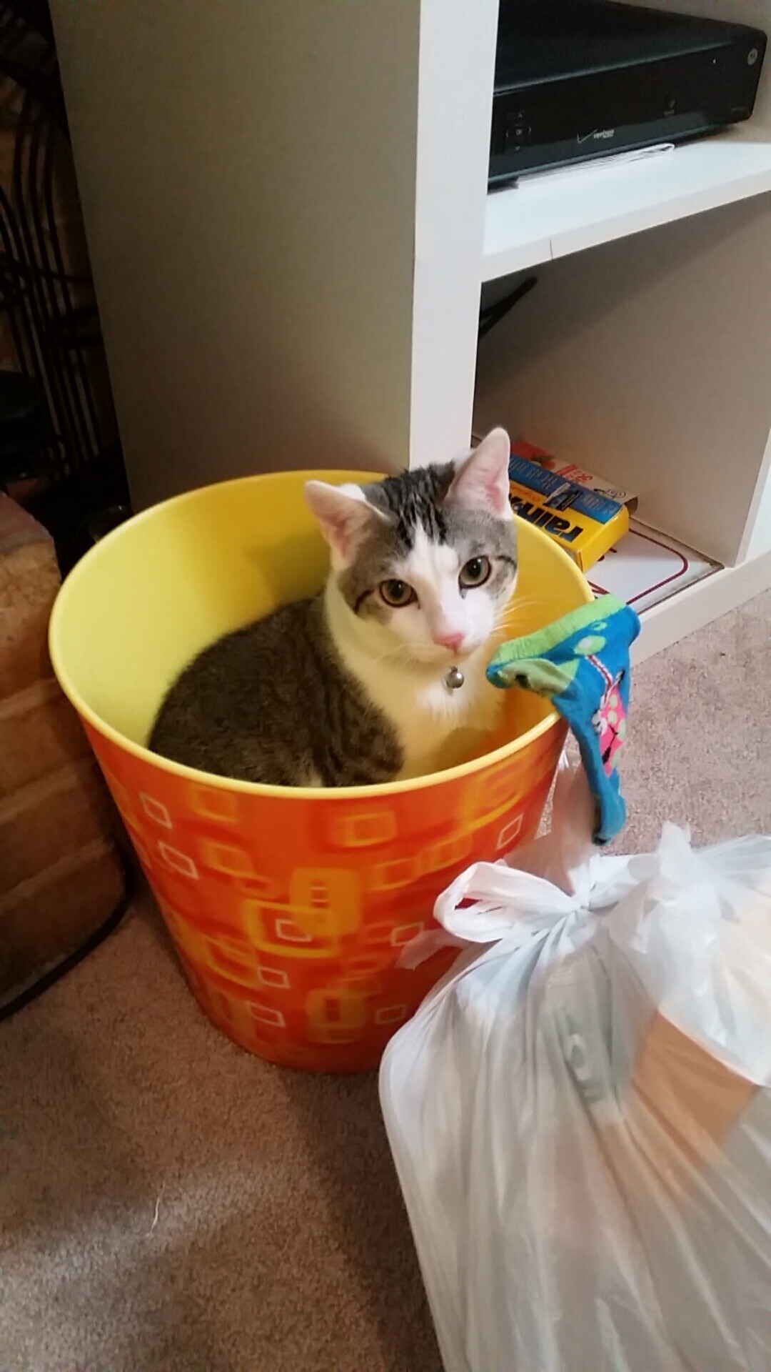 “““神反应”救球盛景：运动员瞬间逆转战局！””