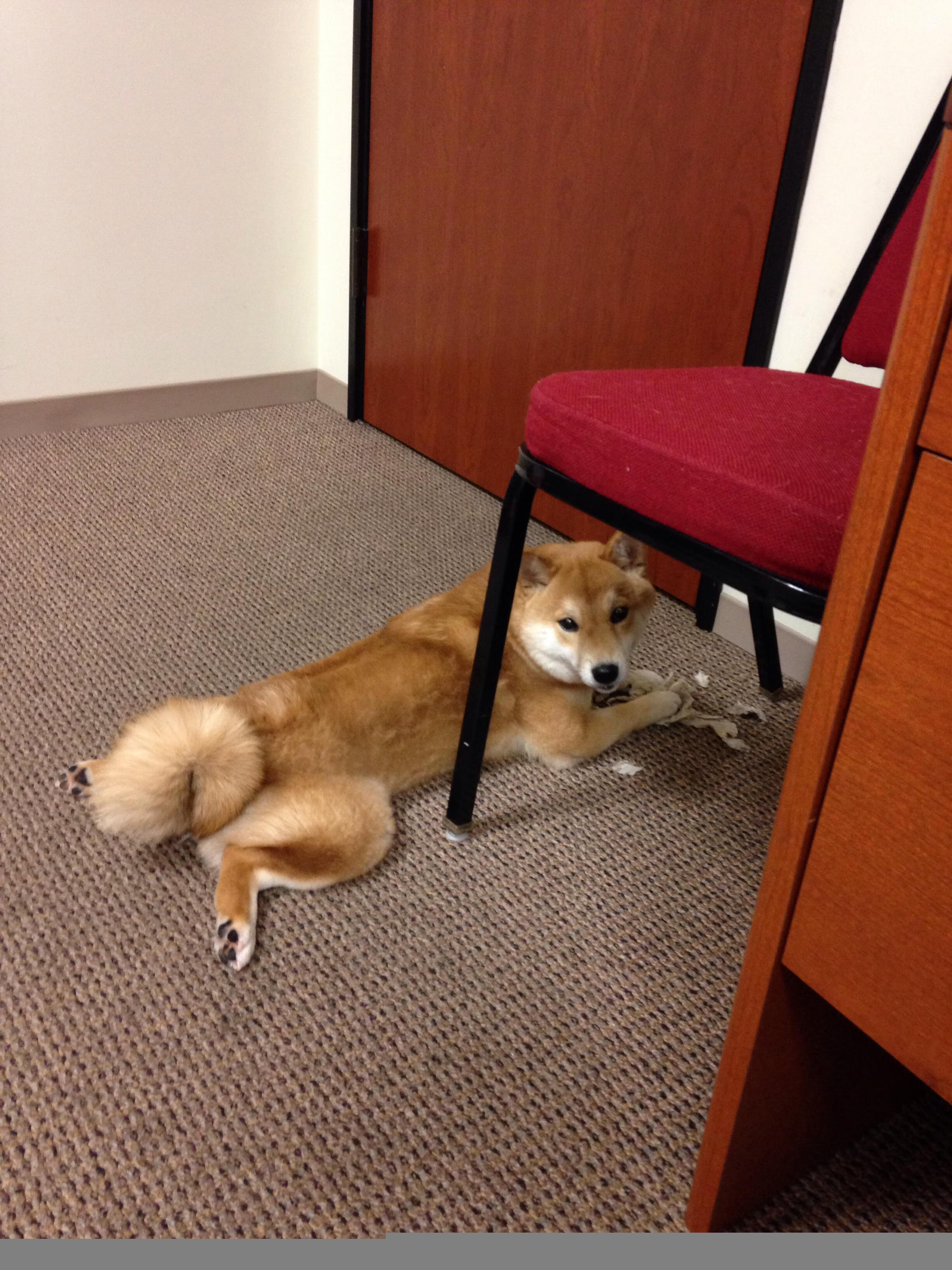 乐鱼官方登录入口-“伊万·戈梅斯的多面手能力，成为阿根廷美洲狮队的重要进攻保障”