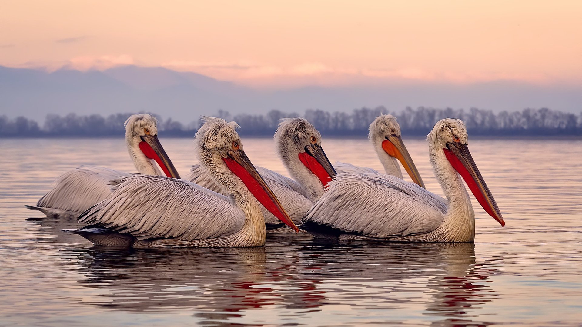 APP下载 LY Sports-中国篮球运动员收入结构分析与对比，中国篮球运动员工资是多少